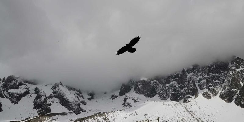 从舍夫沙万到撒哈拉：揭秘马拉喀什出发的梅尔祖卡星空与骆驼骑行终极体验