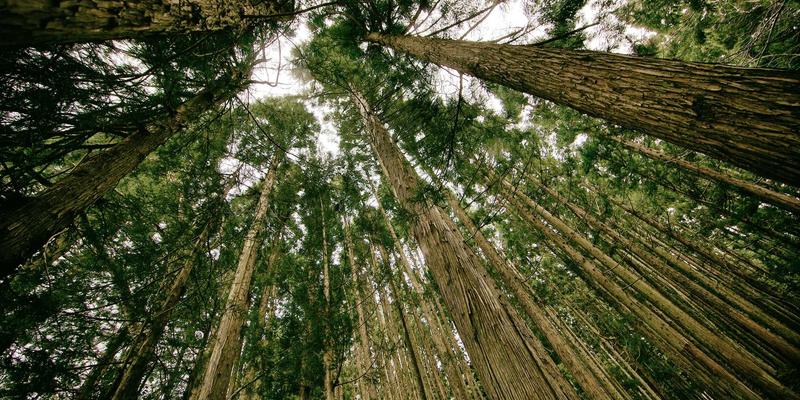 从非斯古城到马拉喀什广场：格纳瓦音乐中的北非风情与撒哈拉灵魂