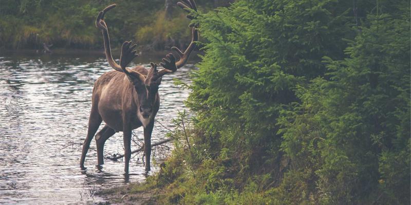 摩洛哥塔吉锅终极指南：从马拉喀什到非斯古城的传统制作教程与顶级餐厅推荐