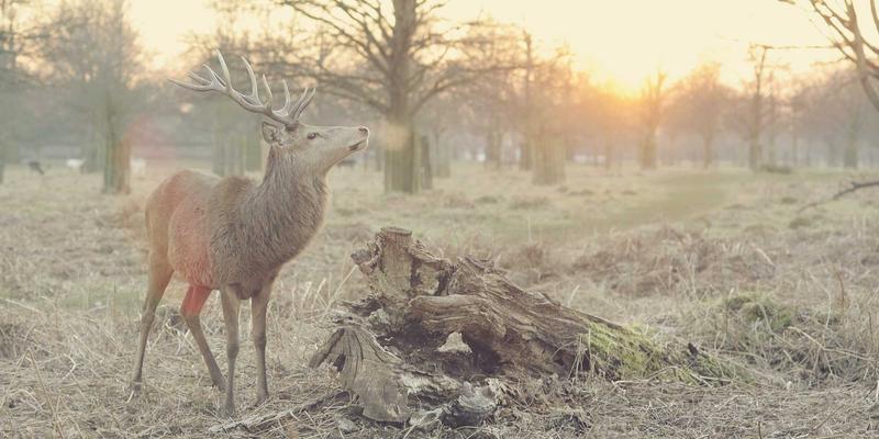 摩洛哥家庭旅行全攻略：探索非斯古城、马拉喀什与撒哈拉沙漠的亲子安全指南