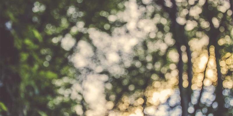 摩洛哥旅游66：从舍夫沙万的蓝到撒哈拉的星空，穿越非斯古城的千年时光