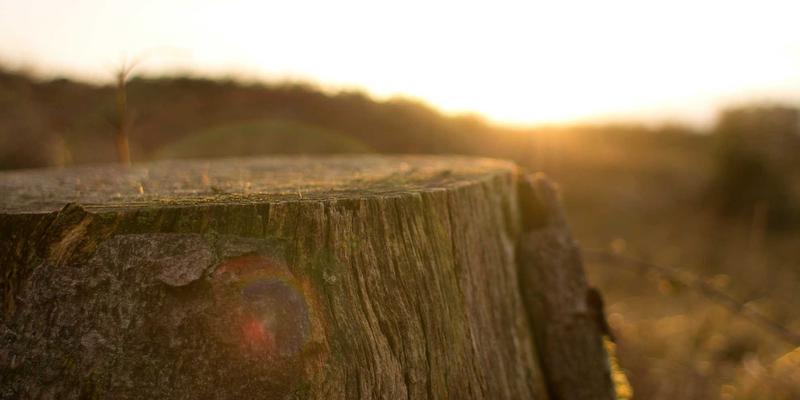 摩洛哥旅游68：穿越撒哈拉沙漠、非斯古城与卡萨布兰卡的奇幻之旅