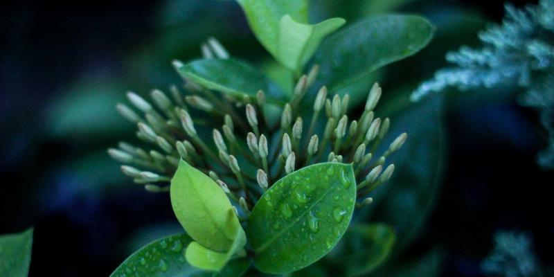 摩洛哥旅游76：从卡萨布兰卡的现代脉搏到舍夫沙万的蓝色梦境