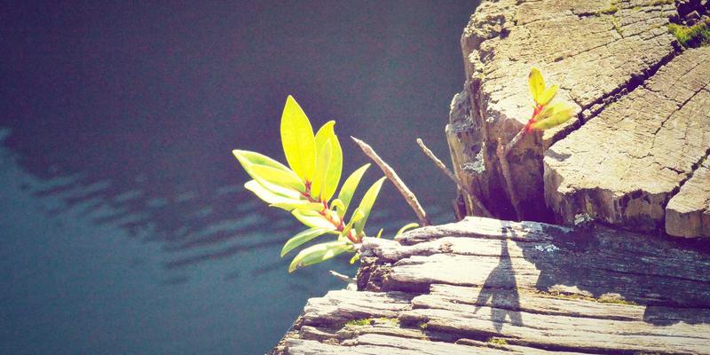 摩洛哥旅游三城记：从马拉喀什的红色迷城到舍夫沙万的蓝色梦境