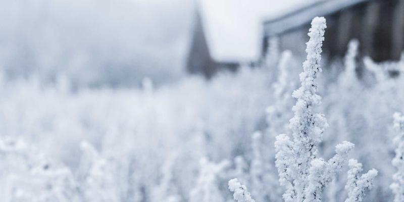 摩洛哥旅游攻略：探秘马拉喀什，邂逅红色古城的千年传奇