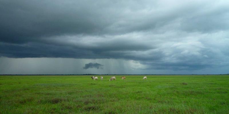 摩洛哥深度游：从非斯古城的千年回响到撒哈拉沙漠的星空史诗