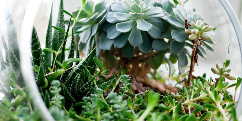 摩洛哥艾西拉艺术小镇：壁画巡礼与年度艺术节游玩指南，探索舍夫沙万、马拉喀什之外的蓝白秘境