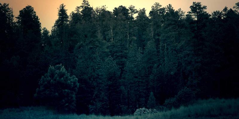 摩洛哥蓝城舍夫沙万摄影指南：捕捉北非风情的完美机位、光线与人文技巧